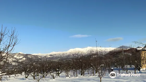 齋藤観光果樹園