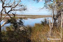 Len Howard Conservation Park景点图片