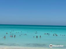 Soul Beach Saadiyat Island-阿布扎比