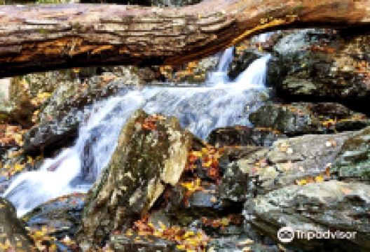 Race Brook Falls景点图片