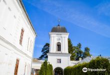 Țigănești Monastery景点图片