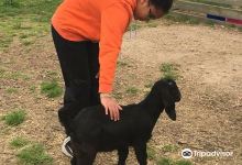 Suffolk County Farm and Education Center景点图片
