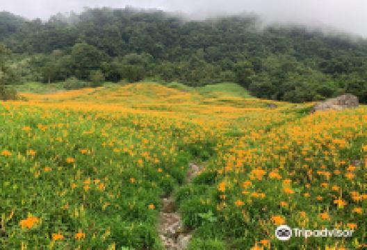 Chihke Farm景点图片