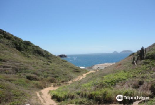 Lagoinha Beach景点图片