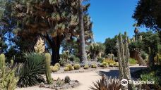 Arizona Garden-马里科帕