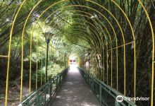 Jardin Botanico Eloy Valenzuela景点图片