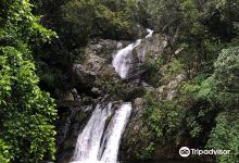 Arangachi Falls景点图片