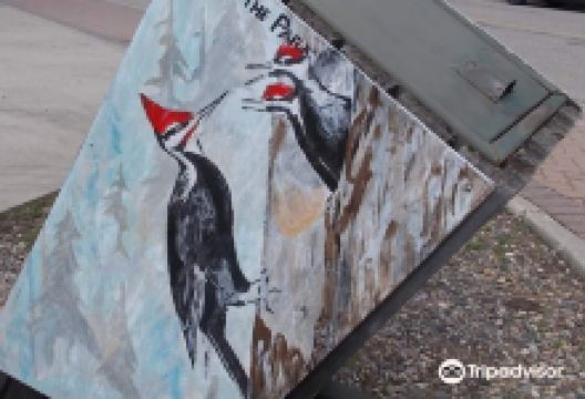 Waskesiu and Area Wilderness Region景点图片