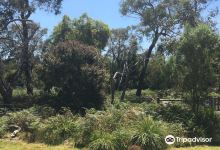 Colley Street Bushland Reserve景点图片