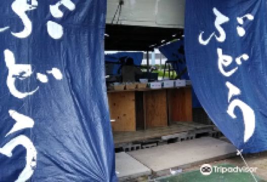 Kasai Grape Farm景点图片