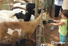 Fazendinha Caminho da Roca景点图片