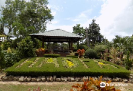 Hadfa Garden购物图片