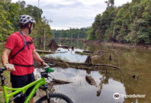 Taman Hutan Raya Sultan Syarif Hasyim景点图片