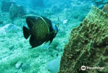 Atlantis Dive Center购物图片