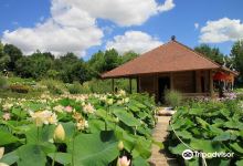 The gardens of Martels景点图片