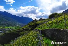 Casa vinicola Aldo Rainoldi景点图片