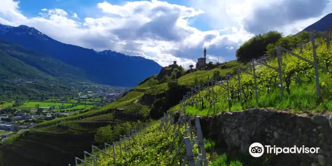 Casa vinicola Aldo Rainoldi