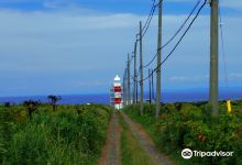 Teuri Island Lighthouse景点图片