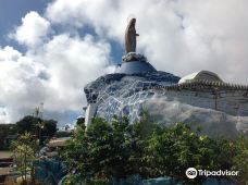 Notre Dame Du Pacifique-阿尔达比勒