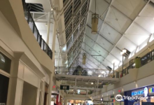 North Point Mall购物图片