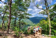 Seneca Rocks Discovery Center景点图片