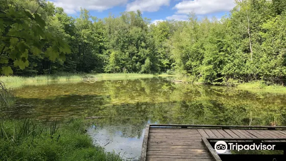 Silver Creek Conservation Area