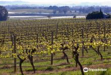 Brangayne Wines Pty Ltd景点图片
