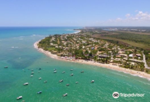 Itacimirim Beach景点图片