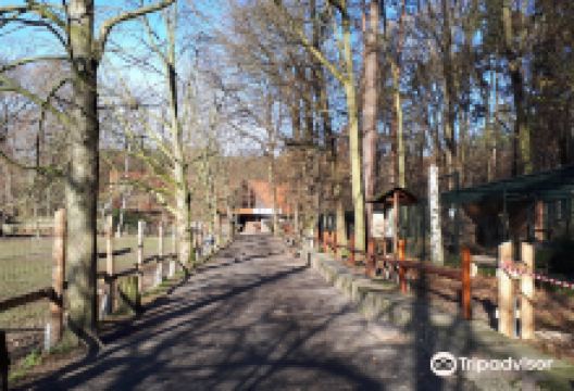 Wildgehege Moritzburg景点图片
