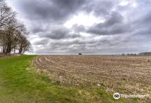 Badbury Hill景点图片
