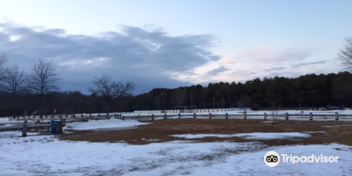 悬铃木城市公園