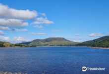 Llyn Celyn景点图片