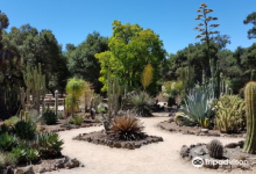 Arizona Garden景点图片
