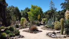 Arizona Garden-马里科帕