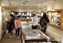 Matson Museum of Anthropology景点图片