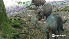 ErlebnisWald Trappenkamp-Daldorf