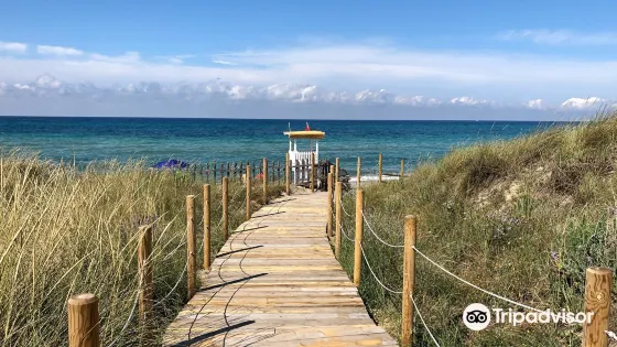 Lido Onda Blu