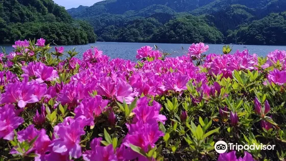 相模湖