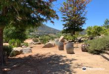 Bodegas de Santo Tomas景点图片