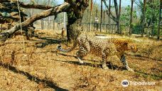 Chipangali Wildlife Orphanage and Research Centre-Umzingwane