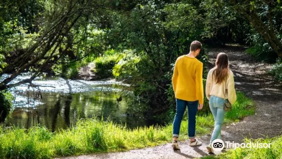 Bledisloe Park Walkway