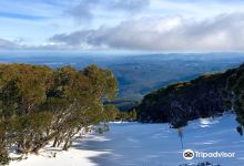 Mt Baw Baw Summit Walk景点图片