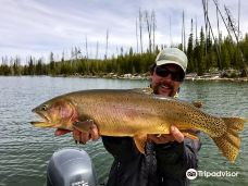 Jackson Hole Anglers-提顿县