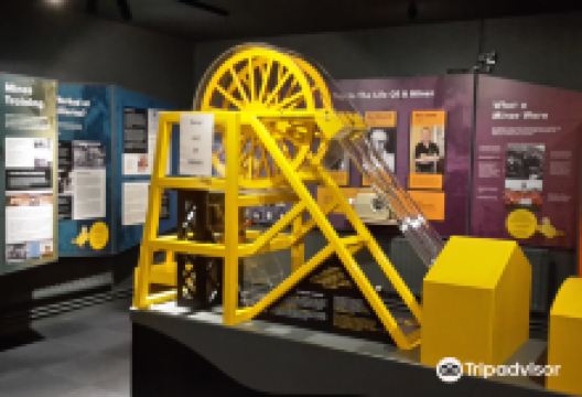 Museum of Cannock Chase景点图片