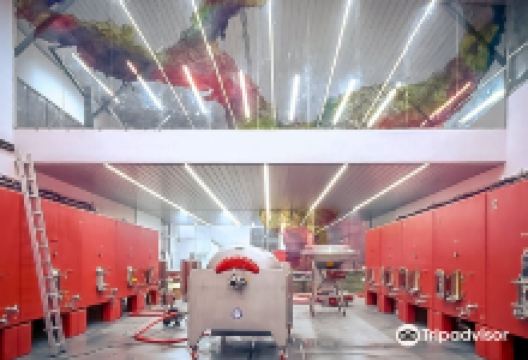 Bodega La Cepa de Pelayo景点图片