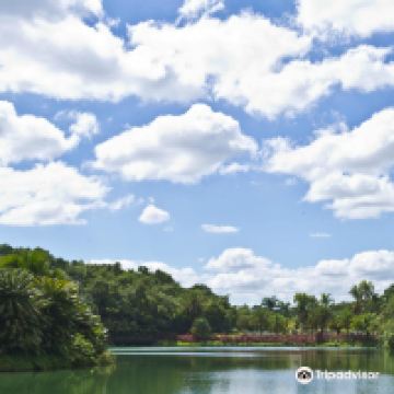 布鲁马迪纽图片