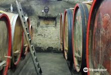 Öko-Weingut Zang景点图片
