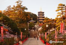 中山寺景点图片