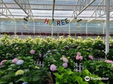 休爱里自然生活公园-西归浦市