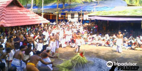 【印度坎納諾爾】Theyyam 表演